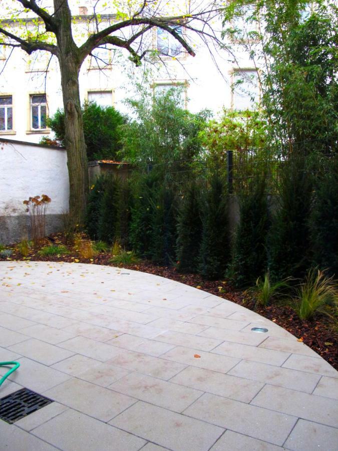 Citycosy Strasbourg - Studio Hirtz Orangerie מראה חיצוני תמונה